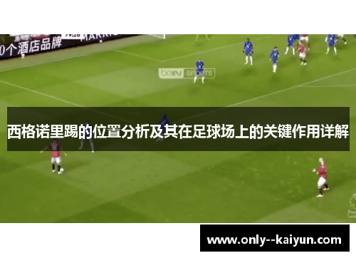 西格诺里踢的位置分析及其在足球场上的关键作用详解 西格诺里踢的位置分析及其在足球场上的关键作用详解